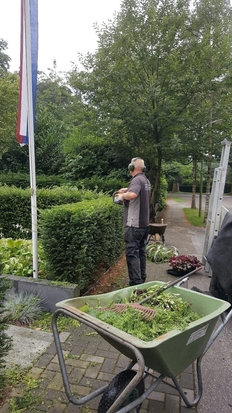 Ontwerp en realisatie tuin Ontwerp en realisatie tuin