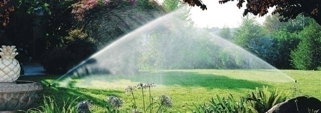 Tips voor het besproeien van je tuin Tips voor het besproeien van je tuin
